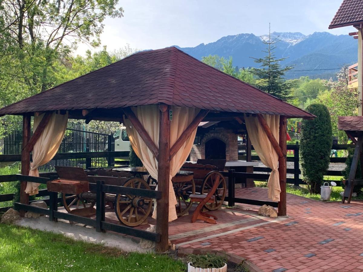 Pensiunea Esenzza Bran  Exterior photo